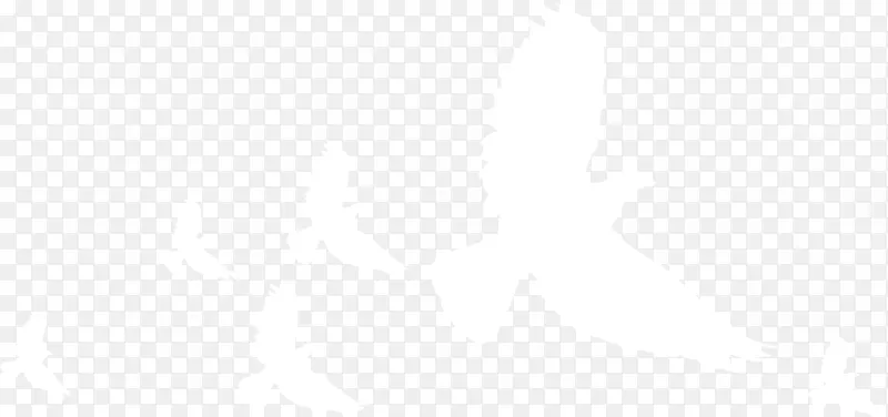 ��ɫ���⻨�ƻ���-������