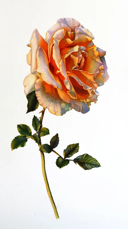 ����ϳ�Ч��������Ӱ-������