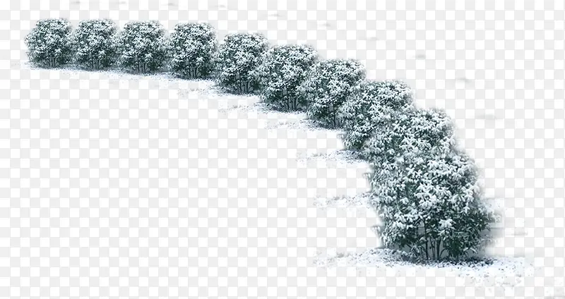 ������Ӱ��ֲ̳�����-������