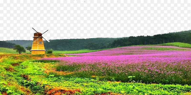 ޹�²�ׯ԰-������