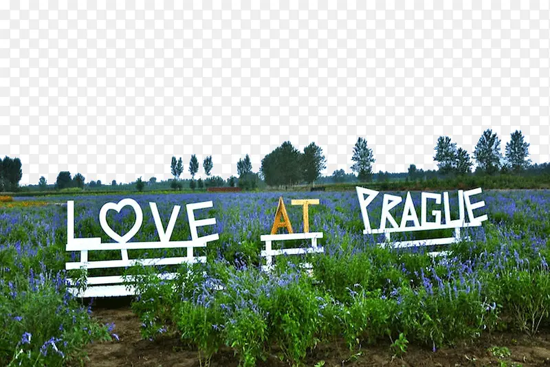 ����������˹޹�²�ׯ԰����-������