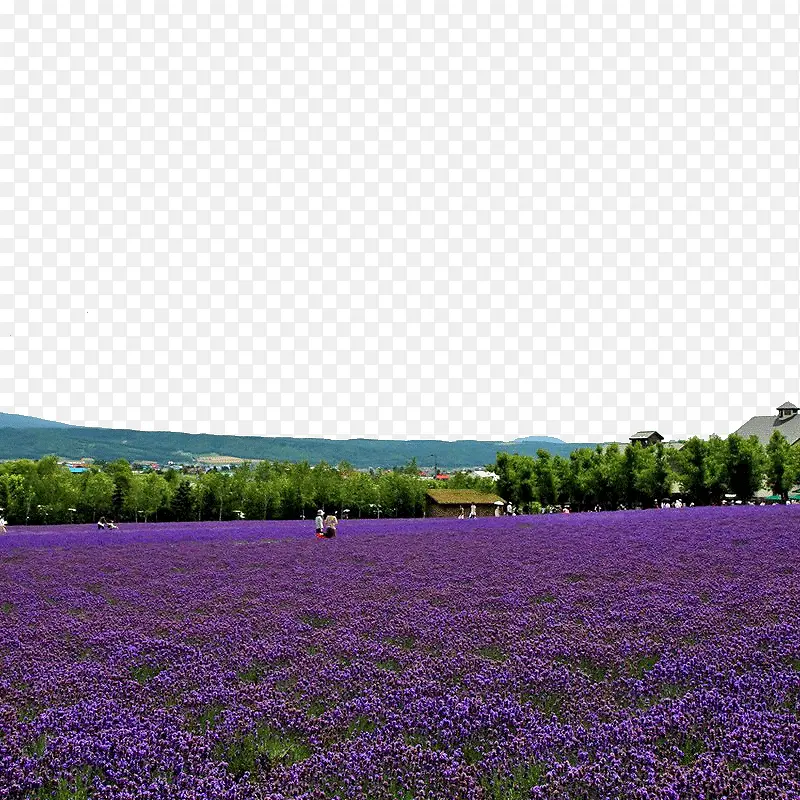 ������˹޹�²�ׯ԰-������