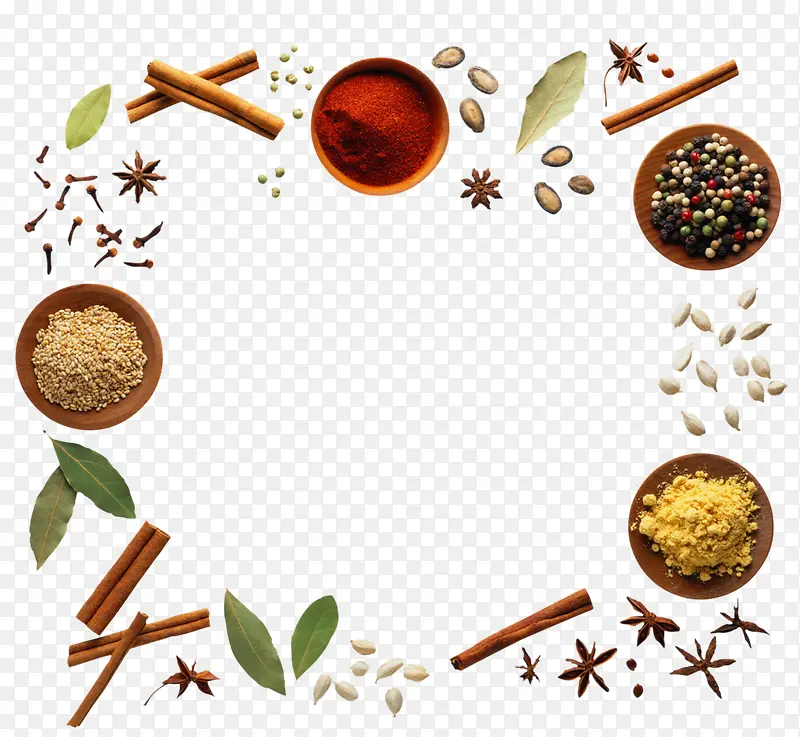 ���ϳ����õĵ���-������