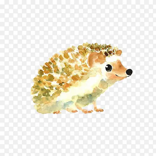 �ɰ�ˮ�ʴ��-������