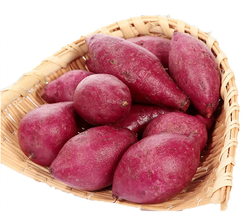 ����-������