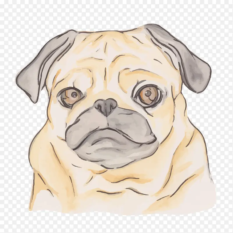 ʸ��ˮ�ʶ�ţȮ-������