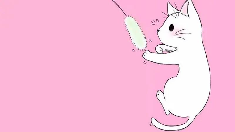 �ɰ�è��-������