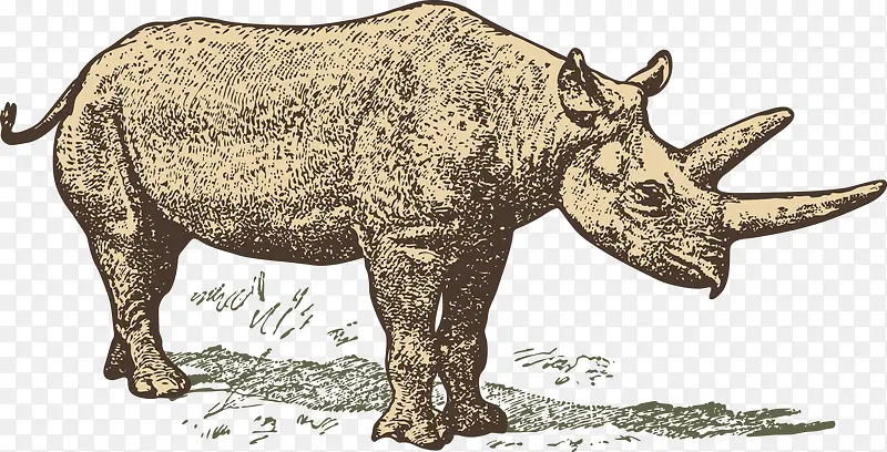 Ϭţ-������