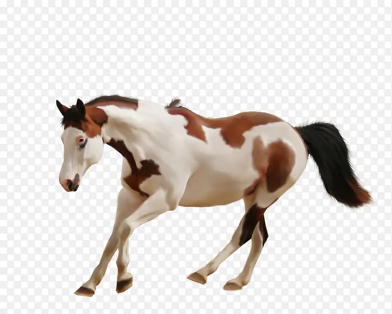 ��ͨͼƬ��ͨ���ز�-������