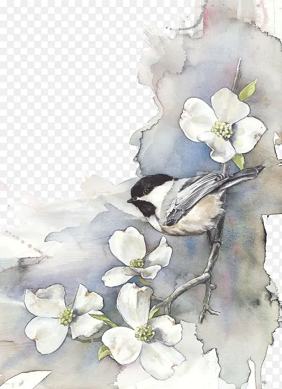 ��������ˮ��-������