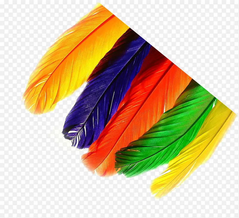 ��ɫ��ëҽԺ�ز�-������