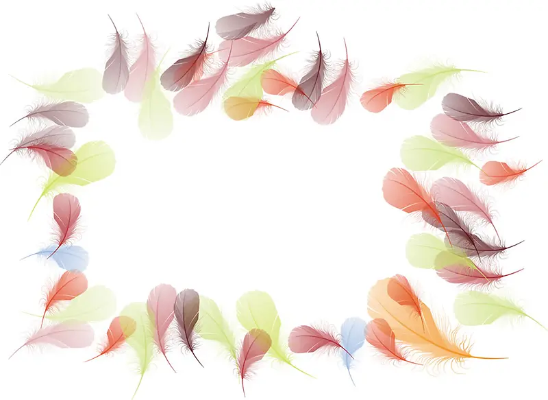 ��ɫ��ë-������