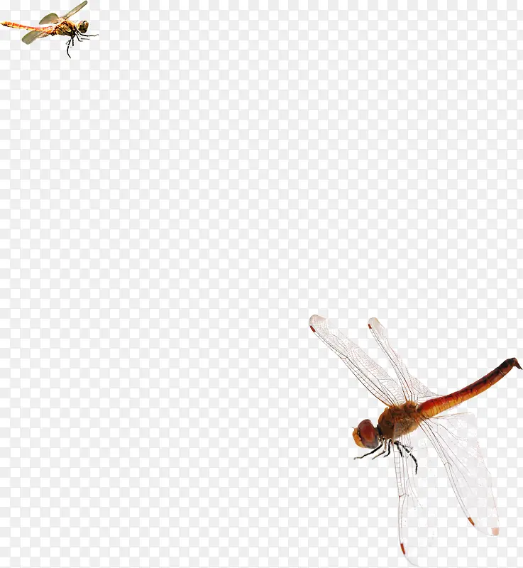 �ɰ�ˮī�������-������