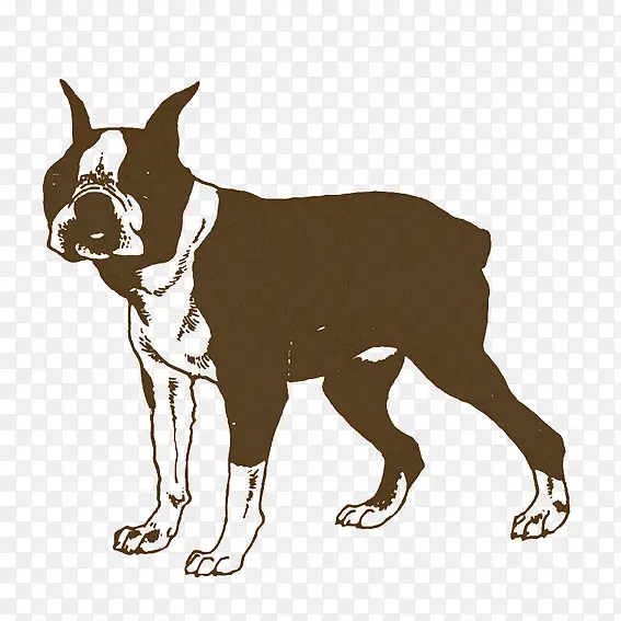 �����Ӱ-������