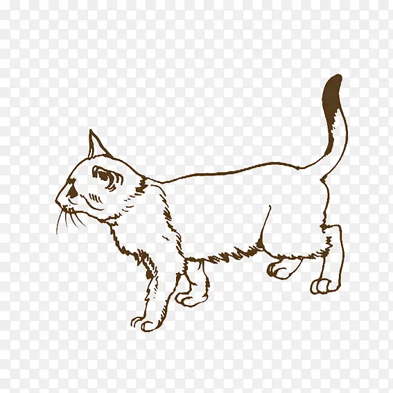 �����Ӱ-������