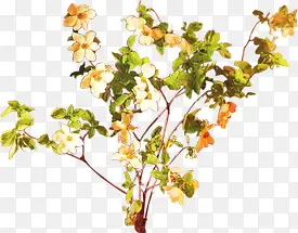 �ֻ滨�ܸ��Բ廭-������