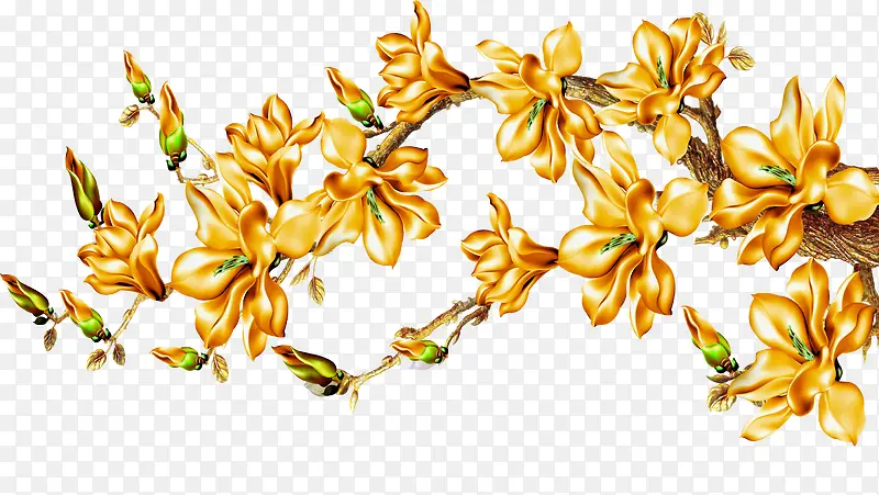 ��ɫ���ܲ廭����-������