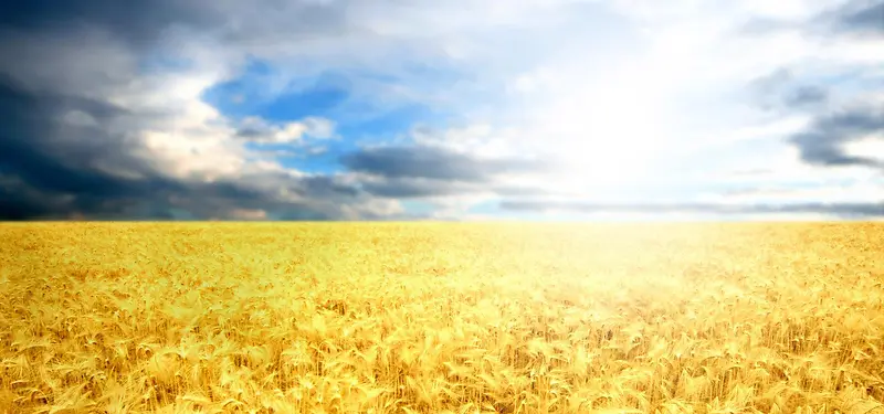 ��ɫ��Ӱ����-������