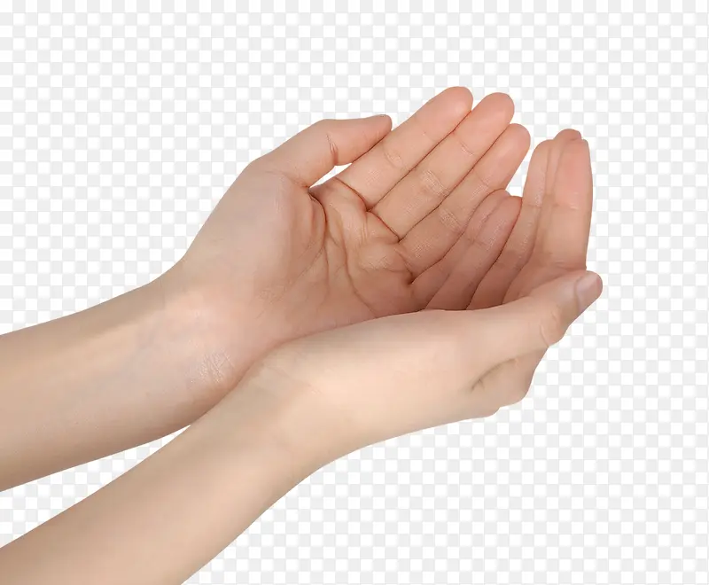 ���ŵ���-������