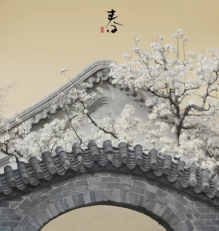 �ֻ洺ɫ�ŷ�廭-������