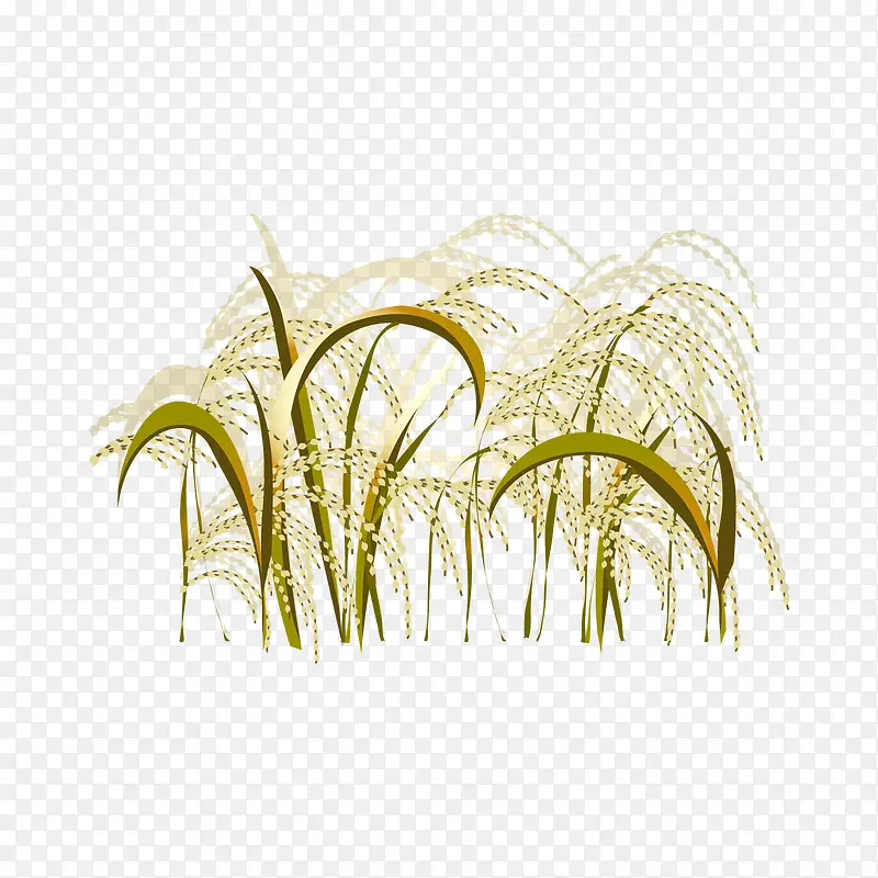 ��ͨ�ֻ浾��-������