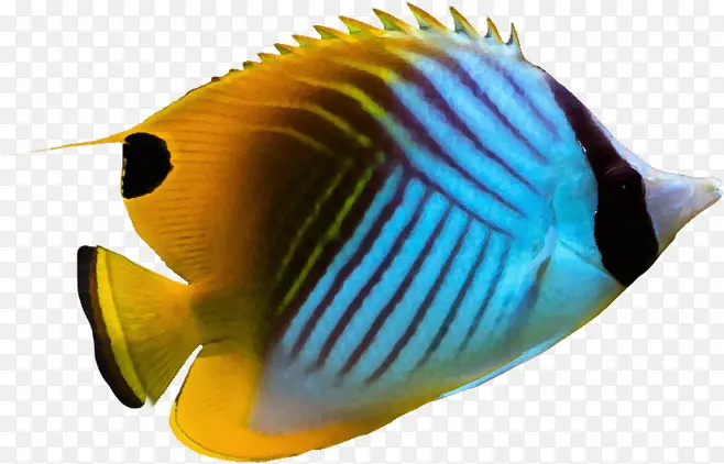 ��ʺ���png����ز�-������