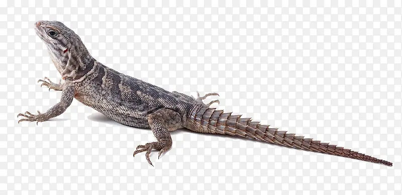 ��������-������