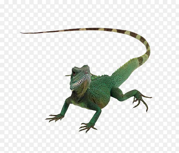 ���涯��-������