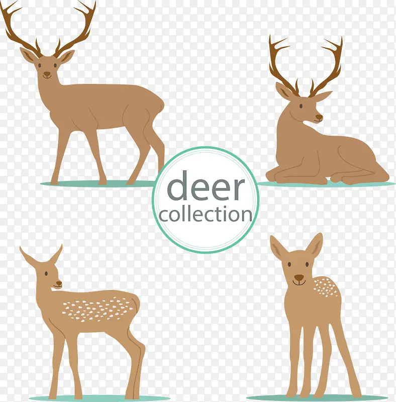 ʸ���ֻ濨ͨ¹-������