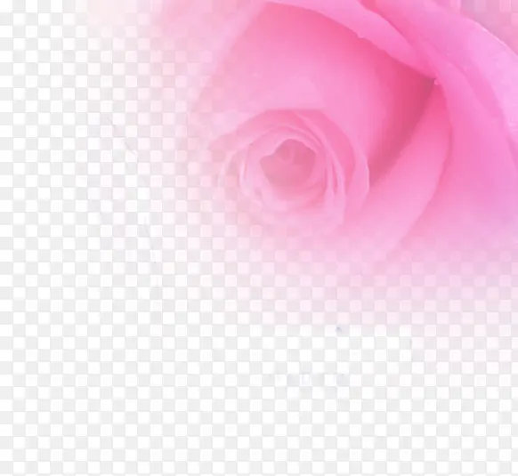 �廭����ױ��������-������