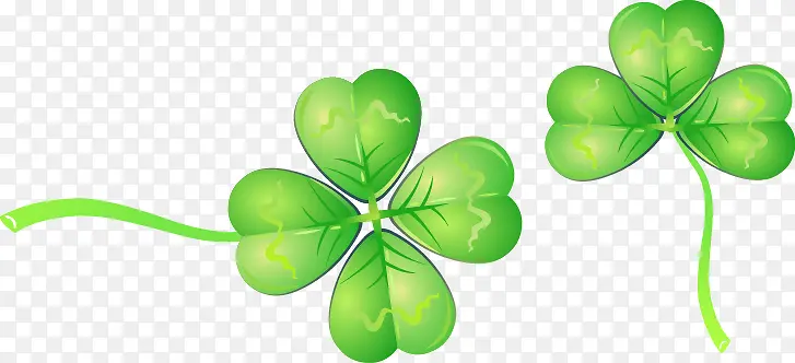 ��ͨ������Ҷ��-������