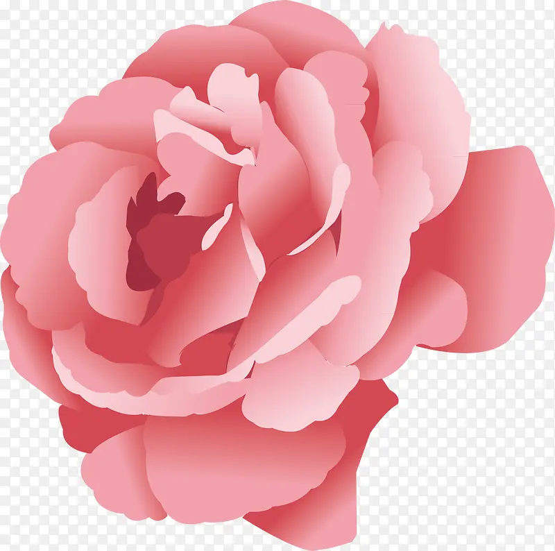 ܽ�ػ�װ�����ʸ��-������