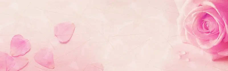 ��ɫ�İ�-������