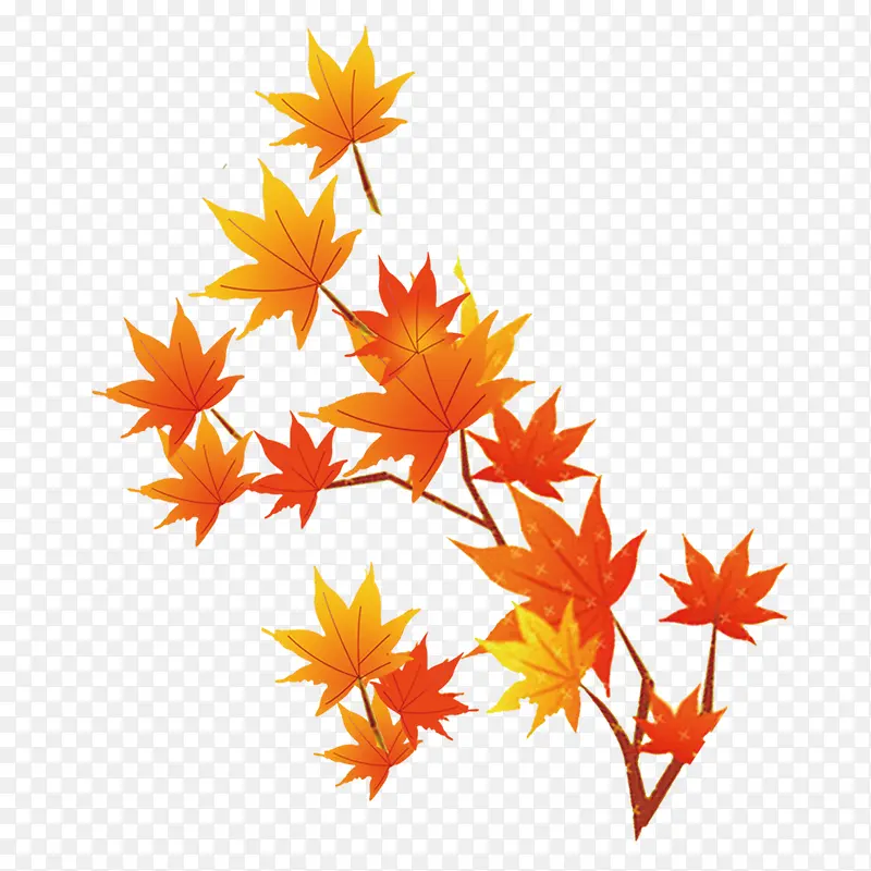 ��Ҷ��Ѿ-������