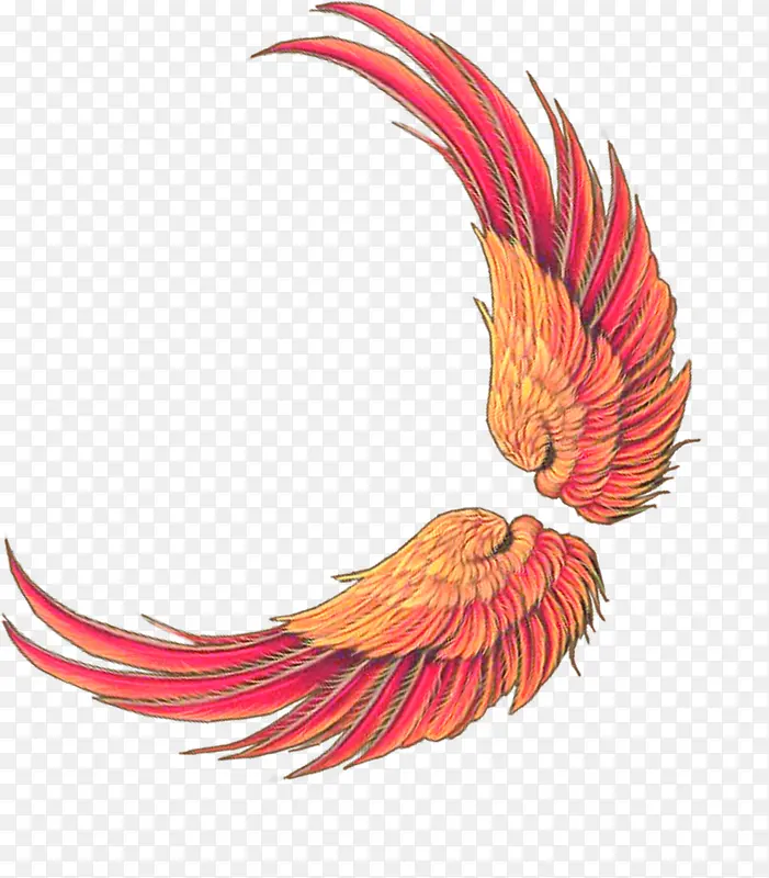 ��ɫ�ſ���Ϸ���-������