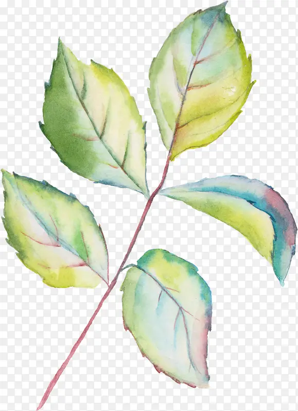 Ψ�������Լ���-������