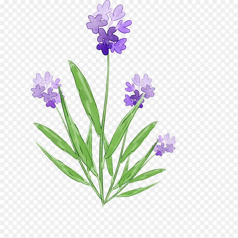 ޹�²�-������