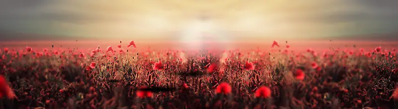 ŮЬ��������banner-������