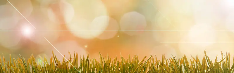 �λõ��̲�-������