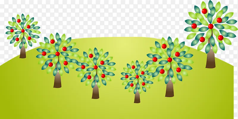 ��ͨ��ƺ��-������