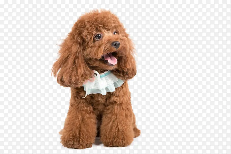 ̩��ͼƬ�ز�-������