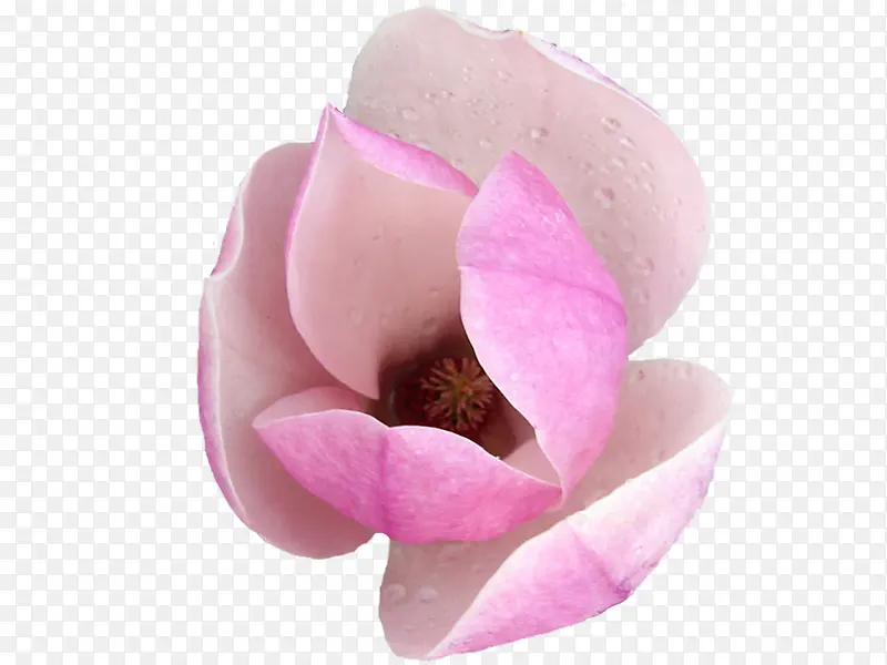 �ۻ�-������