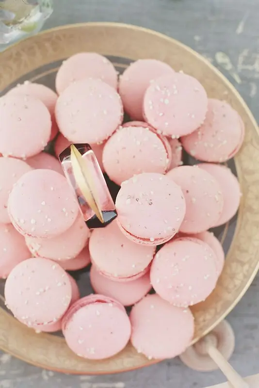 ��ɫ�λ�ʳ�ﺣ��-������