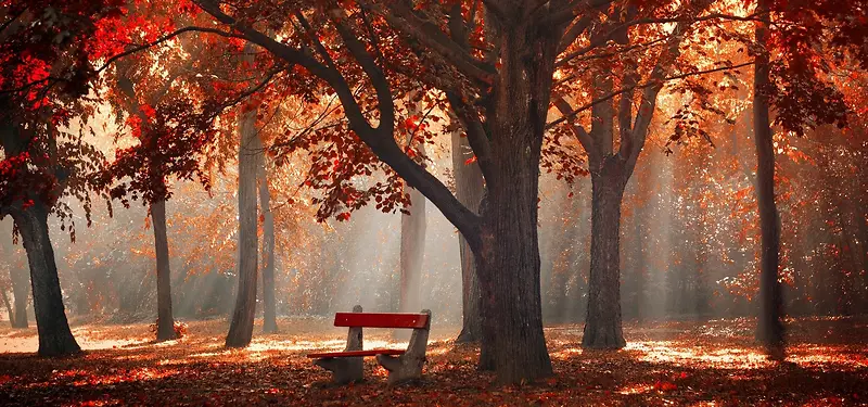 �������±���-������