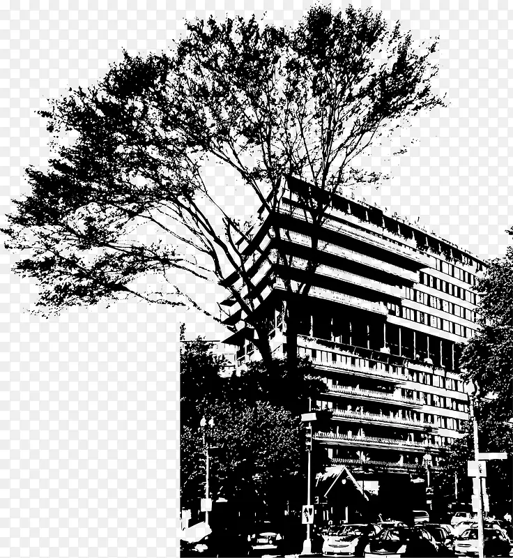 ���м�Ӱ-������