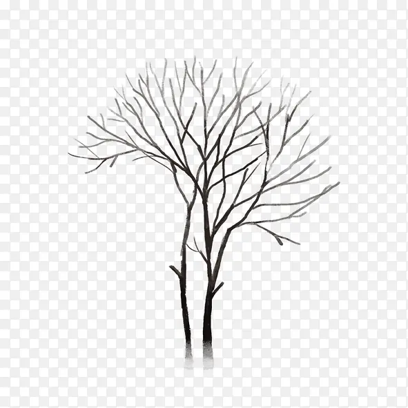 ����֦-������