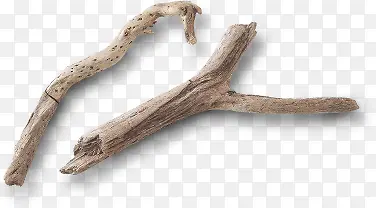 ����֦-������