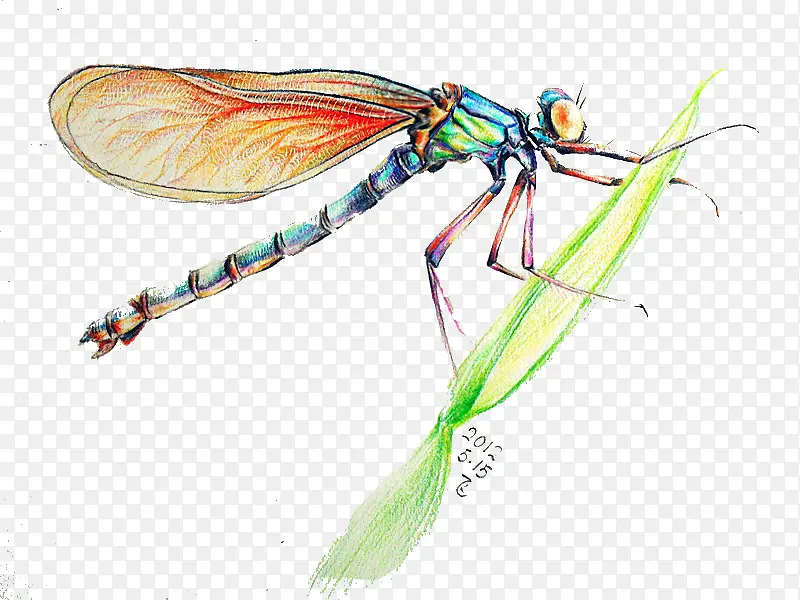 ����-������