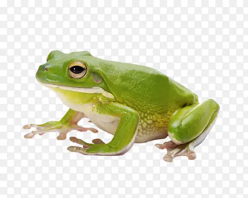 ���ܶ���-������