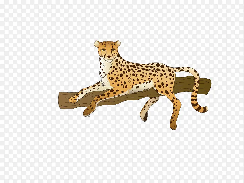 ����ͨʸ��Ԫ��-������